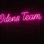 Odens Team | Работа веб-моделью на дому